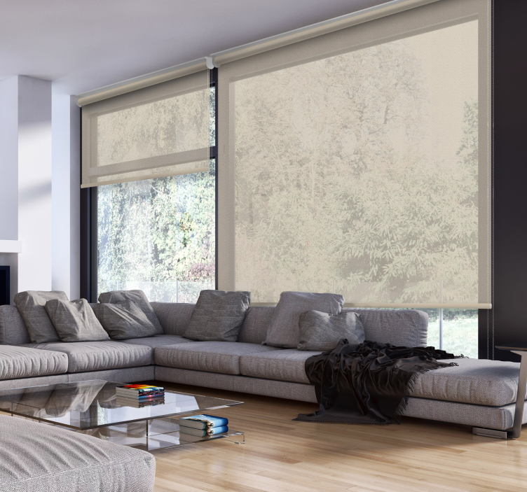 Svetlá priehľadná béžová roleta - Tenstickers