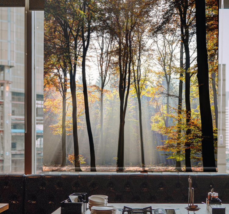 roleta stomy slnkom zaliata lesná scéna - Tenstickers