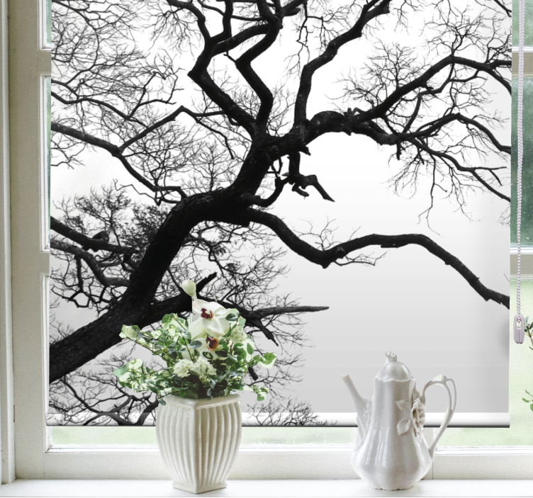 Roztrhnutie jedného dreveného konára Roleta fototapeta - Tenstickers