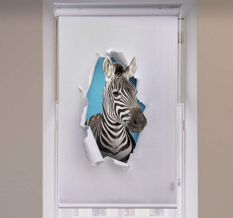 Zebra rôzne zvieracie Roleta - Tenstickers