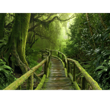 Roleta stomy bujná machová promenáda - Tenstickers