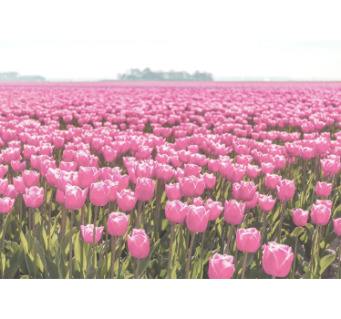 Roleta do obývačky iný ružový tulipánový lán - Tenstickers