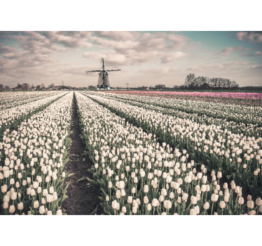 Roleta do obývačky tulipánové pole s veterným mlynom - Tenstickers
