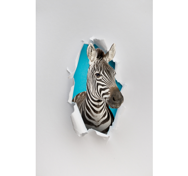 Zebra zviera Roleta - Tenstickers