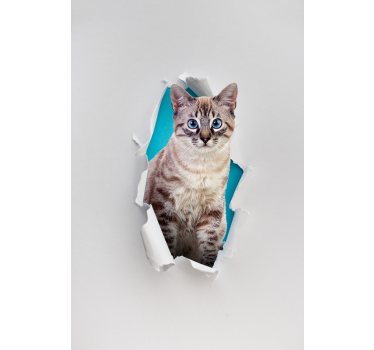 Mačka zviera Roleta - Tenstickers