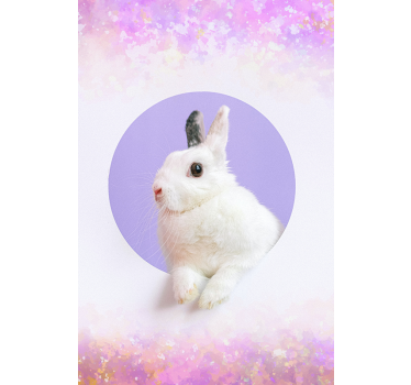Králičie zviera Roleta - Tenstickers