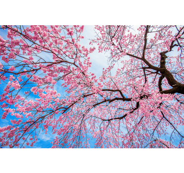 rastlinná roleta končatina sakura - Tenstickers