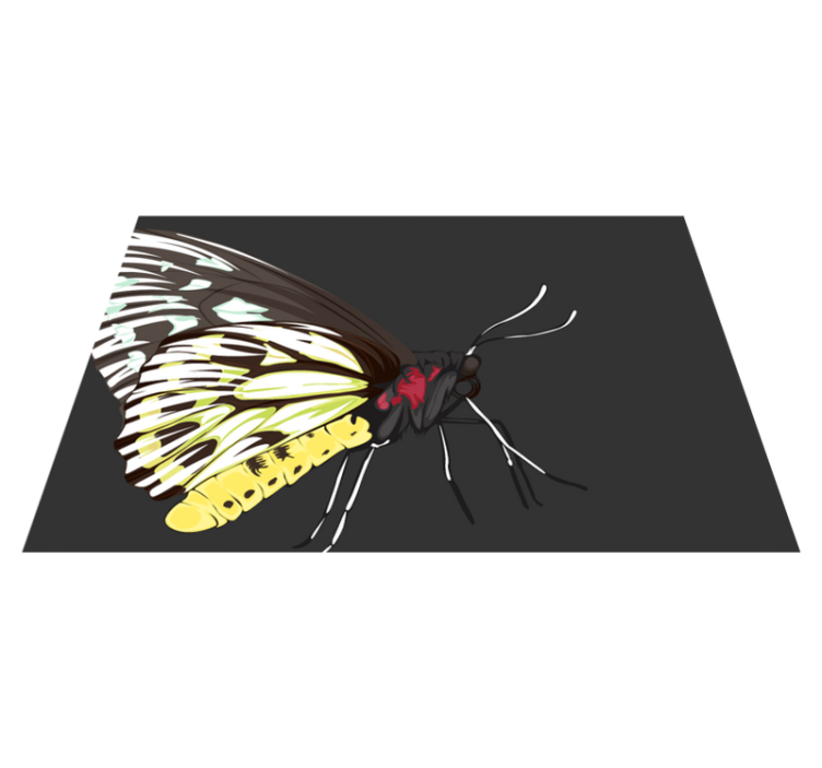 Originálne prestieranie s farebnou ilustráciou motýľa - Tenstickers