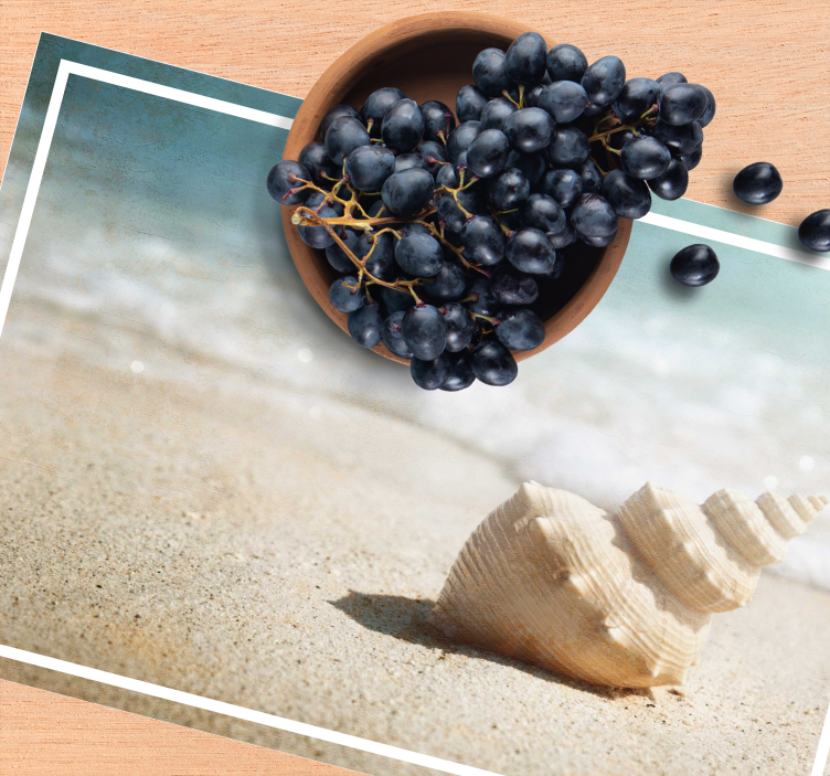 Originálne prestieranie elegantný mušľový displej - Tenstickers