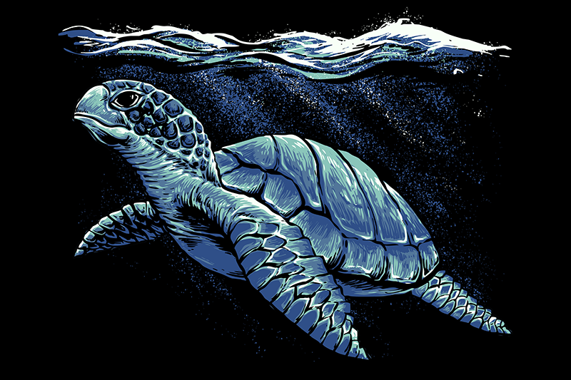 Korytnačka ručné kreslenie prestieranie korytnačky - Tenstickers