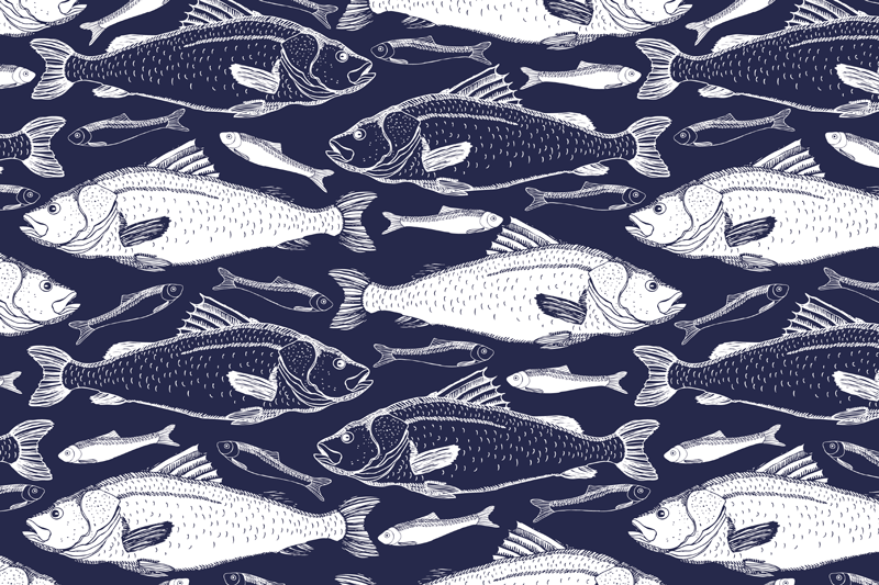 Ryby pod morským prestieraním - Tenstickers