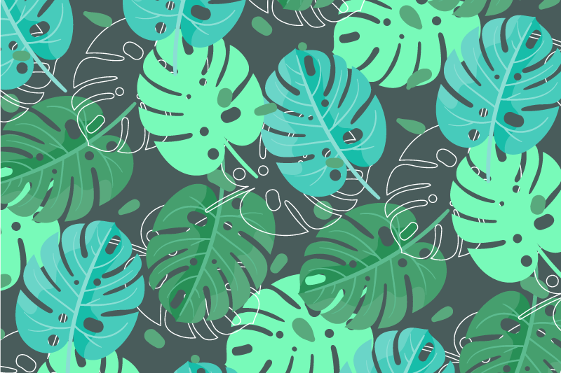 Originálne prestierania monstera deliciosa - Tenstickers