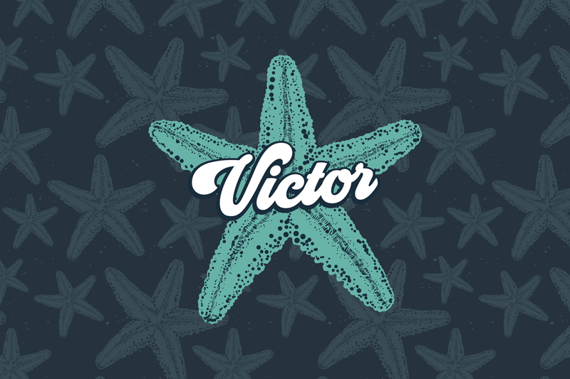 Prestieranie s menom hvězda morská personalizované akcenty - Tenstickers