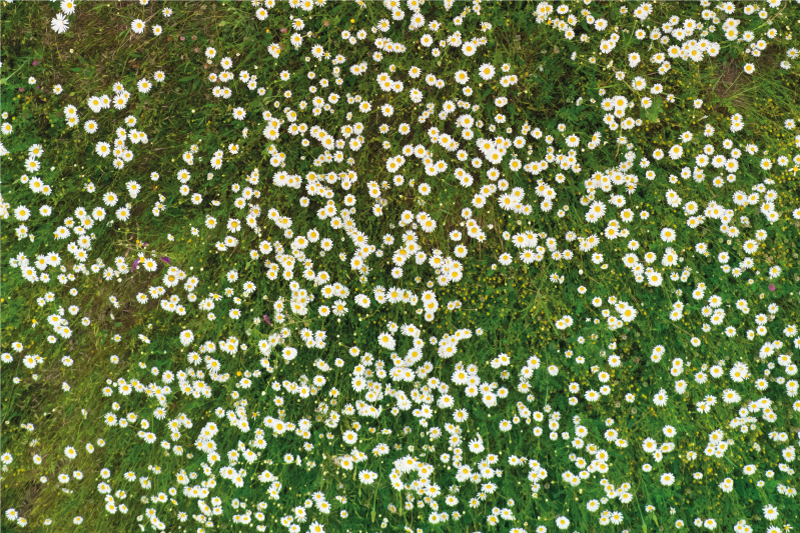 Vzorované prestieranie s čerstvým kvetinovým vzorom - Tenstickers