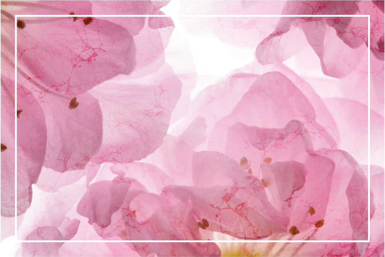 Ružové kvety s listami originálne prestieranie - Tenstickers