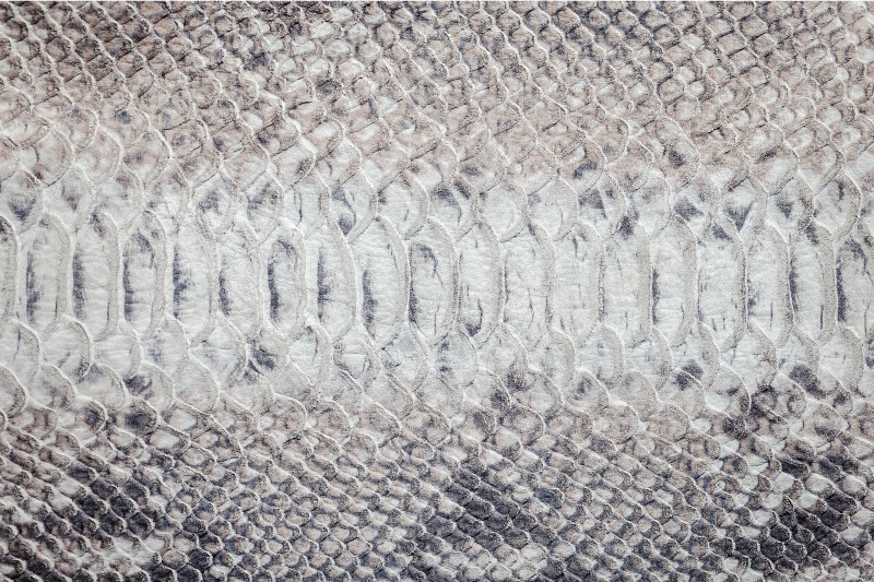 Sivý hadí vzor tlač elegantné prestieranie - Tenstickers