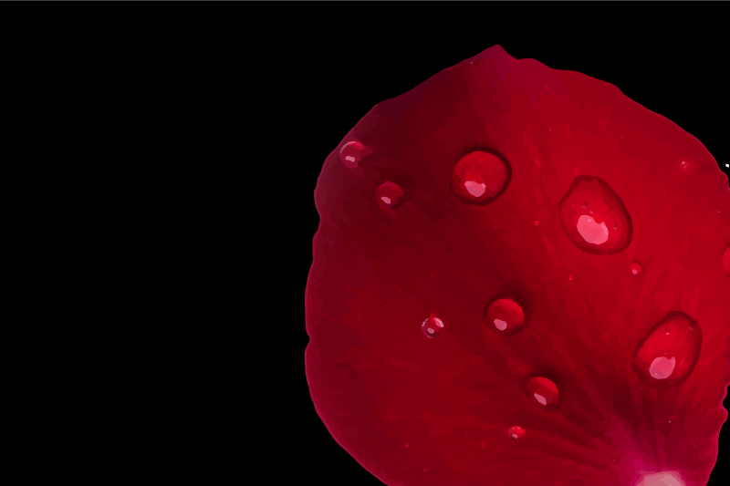 Vzorované prestieranie s červenými lupienkami - Tenstickers