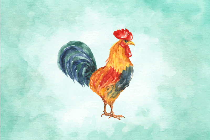 Originálne prestieranie s farebnou ilustráciou kohúta - Tenstickers