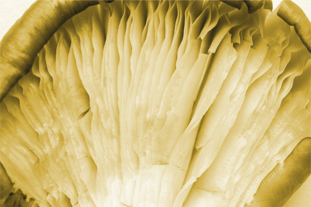 Vzorované prestieranie s vrstvami zakrivených listov - Tenstickers