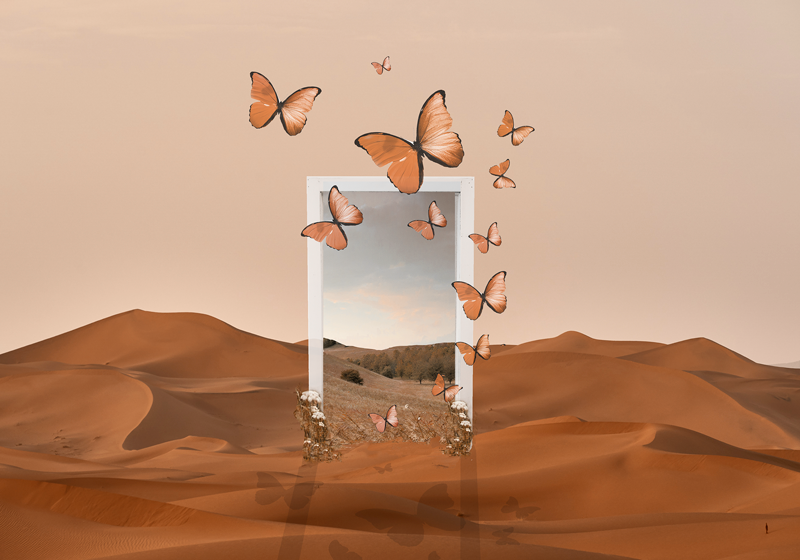 Originálne prestieranie rám s vychádzajúcimi motýľmi - Tenstickers