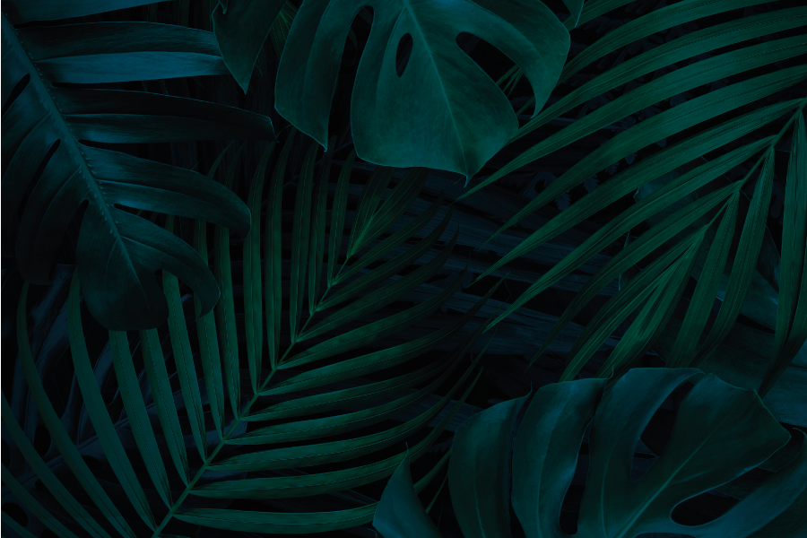 Lesné listy a rastliny textúrované prestieranie - Tenstickers