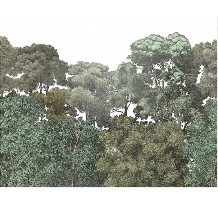 Fototapety do izby teenagera elegantný motív dažďového pralesa - Tenstickers