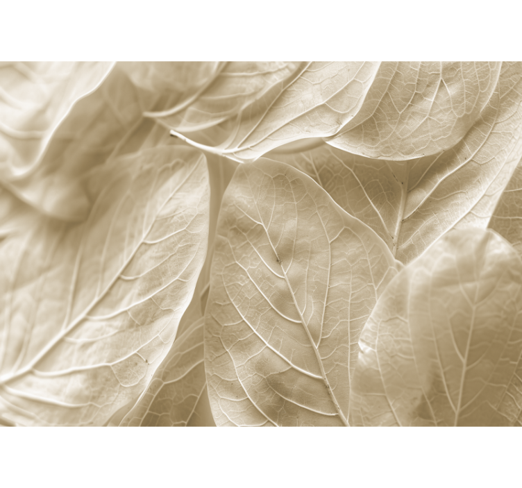 Fototapety na stenu do spálne veľké béžové listy - Tenstickers