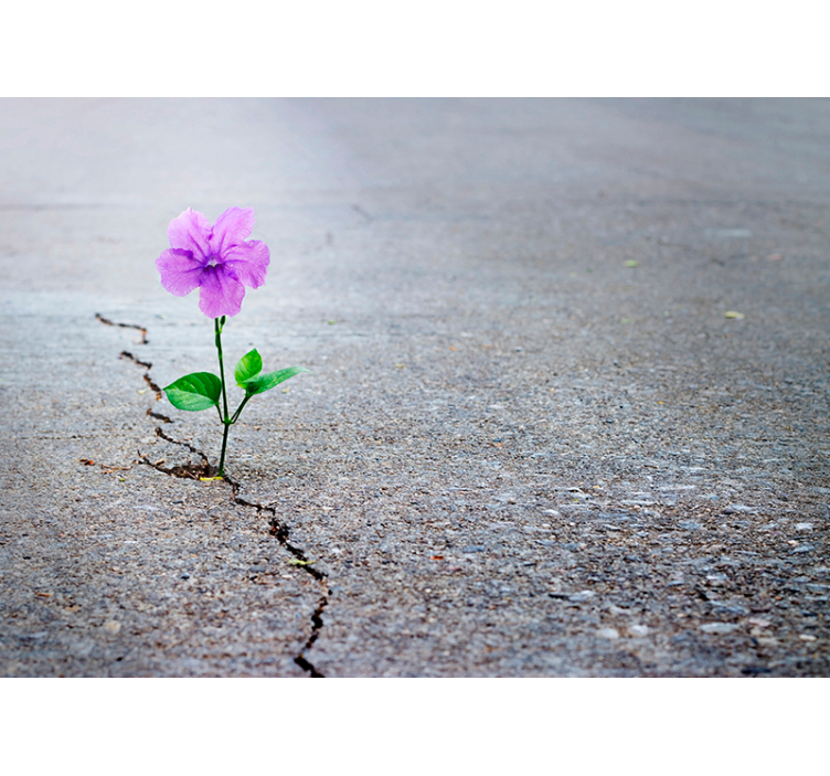 fototapeta kvety kvitnúci kvet na textúrovanom pozadí - Tenstickers