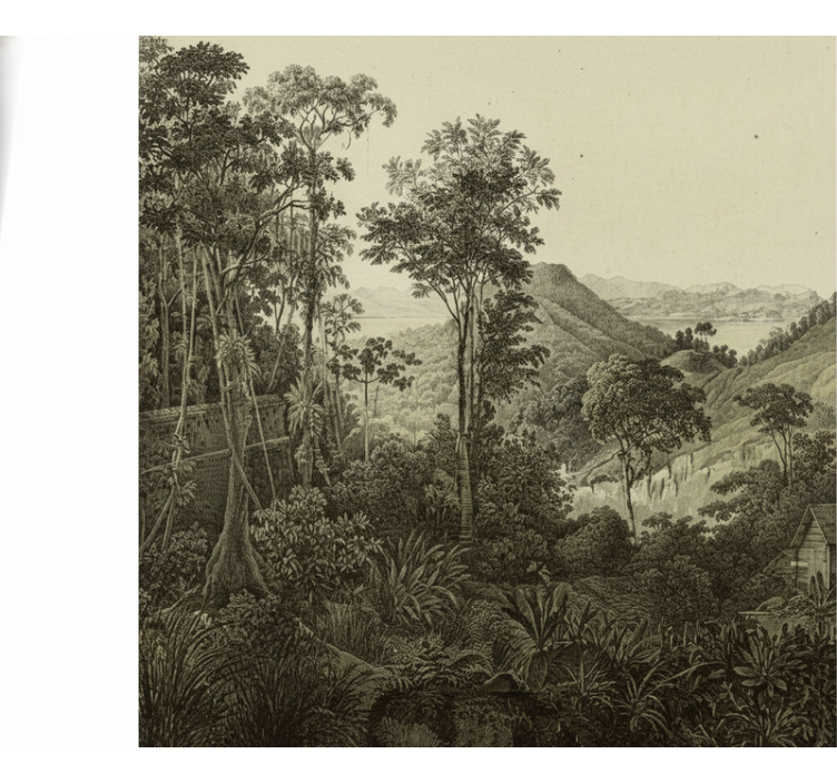 Fototapety na stenu les tlač kopcovitého lesa - Tenstickers