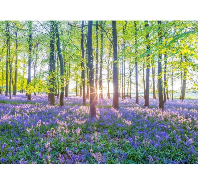 Fototapety na stenu les inšpirované prírodou - Tenstickers