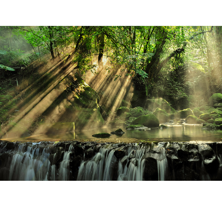 Nástenná maľba tajnej lesnej krajiny - Tenstickers