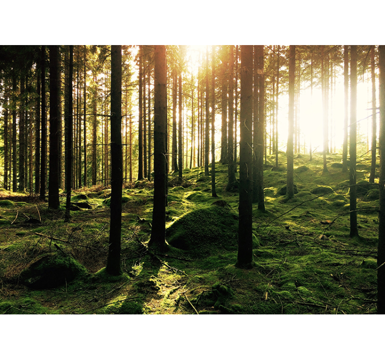 úkryt v nástennej maľbe na stene - Tenstickers