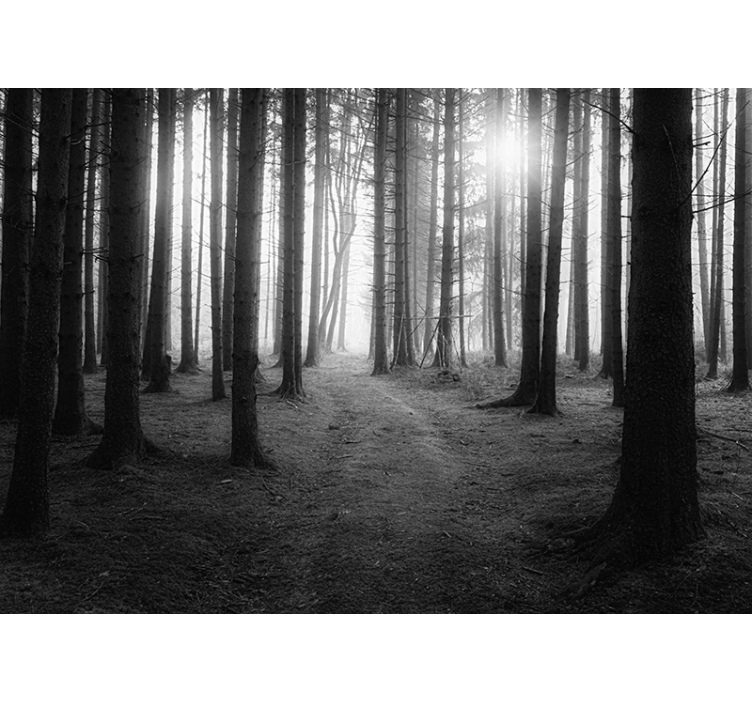 Sivá nástenná maľba pre vás - Tenstickers