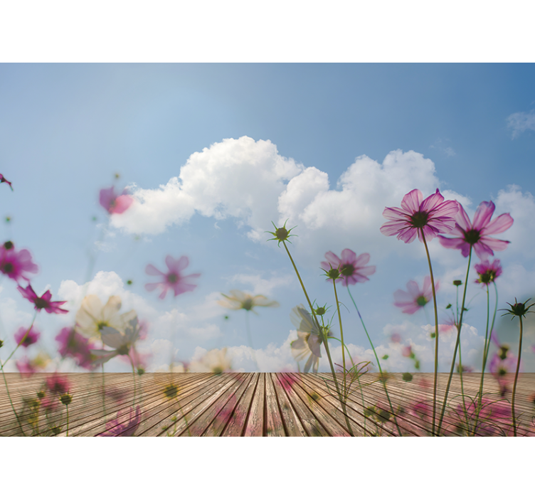 fototapeta kvety jemné kvetinové kvetyčky - Tenstickers