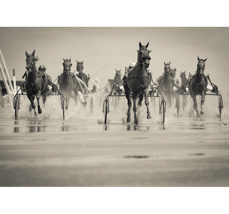 fototapety so zvieratami kone pretekajú spolu - Tenstickers