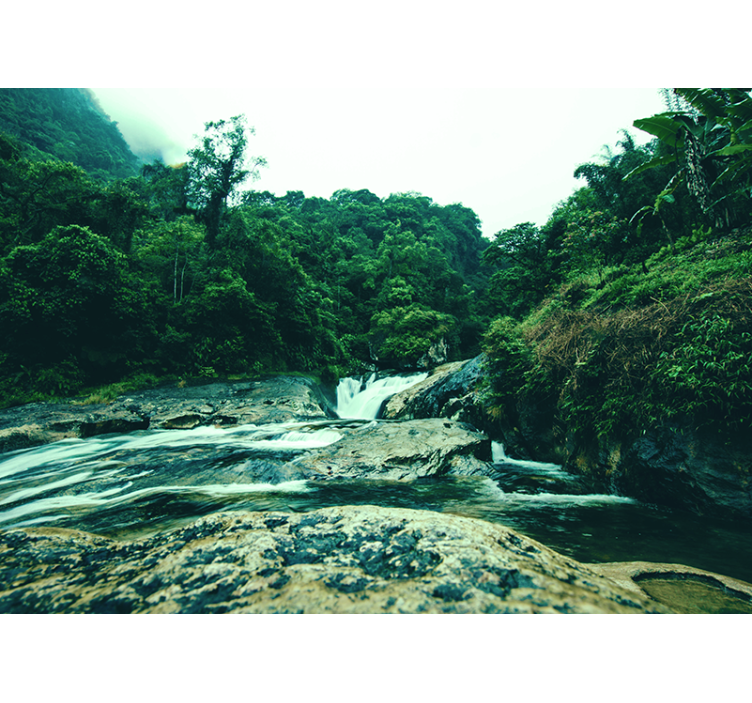 Amazonský riečny les fototapeta - Tenstickers