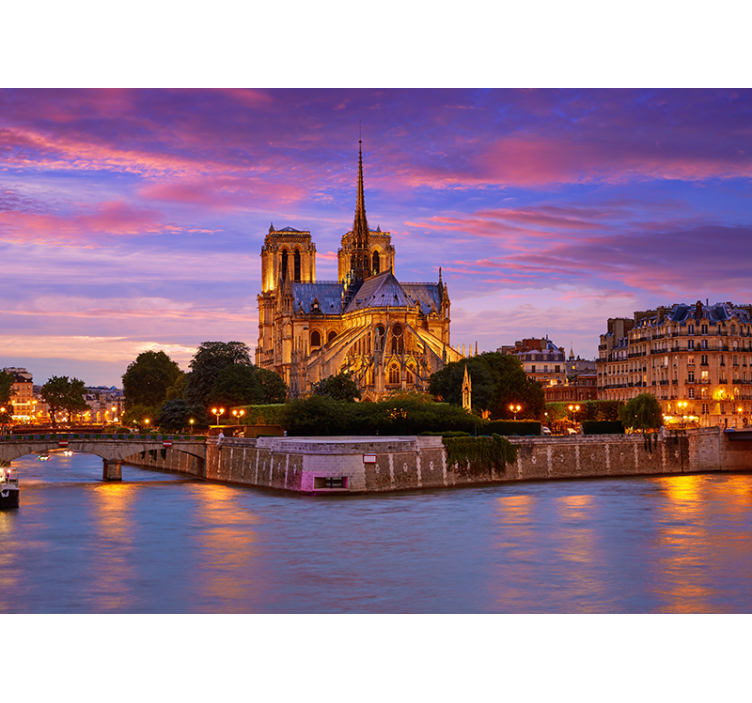 Notre dame západ slnka paríž fototapeta - Tenstickers