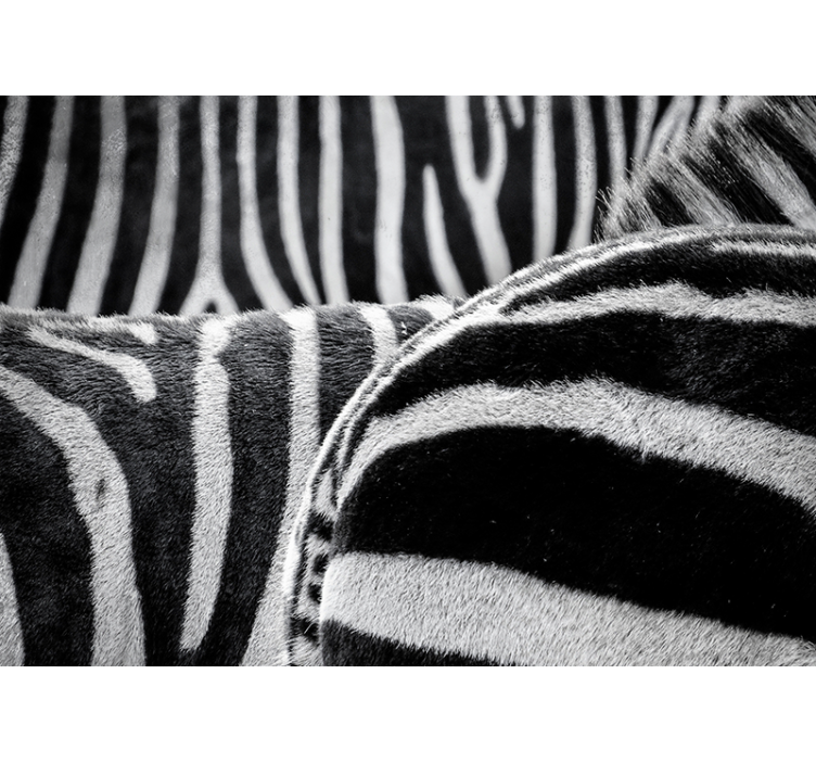 fototapety so zvieratami realistické zebrové pruhy - Tenstickers