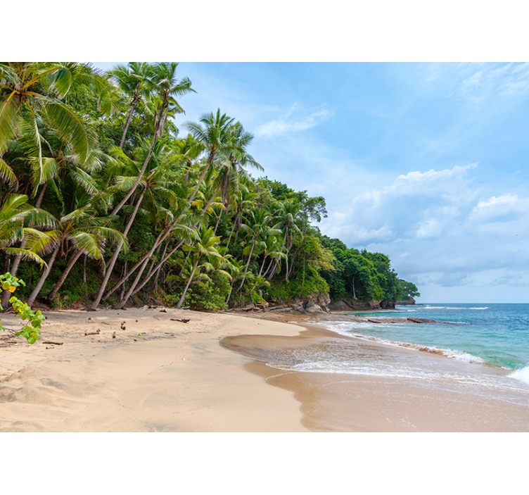 Fototapety na stenu priroda tropický pobrežný oázis - Tenstickers