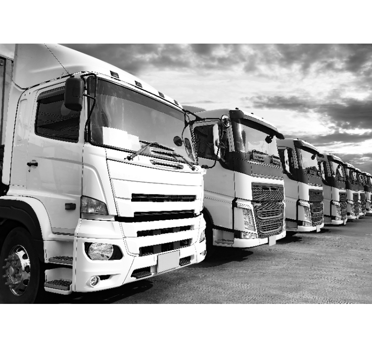 Nákladné vozidlá zoradené na stenu - Tenstickers