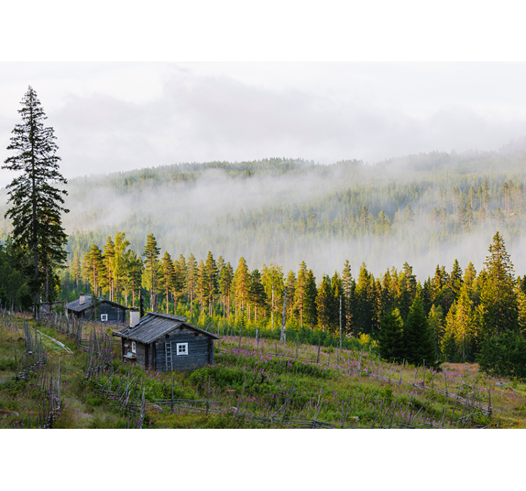 krajinka fototapety hmlou pokrytý les - Tenstickers