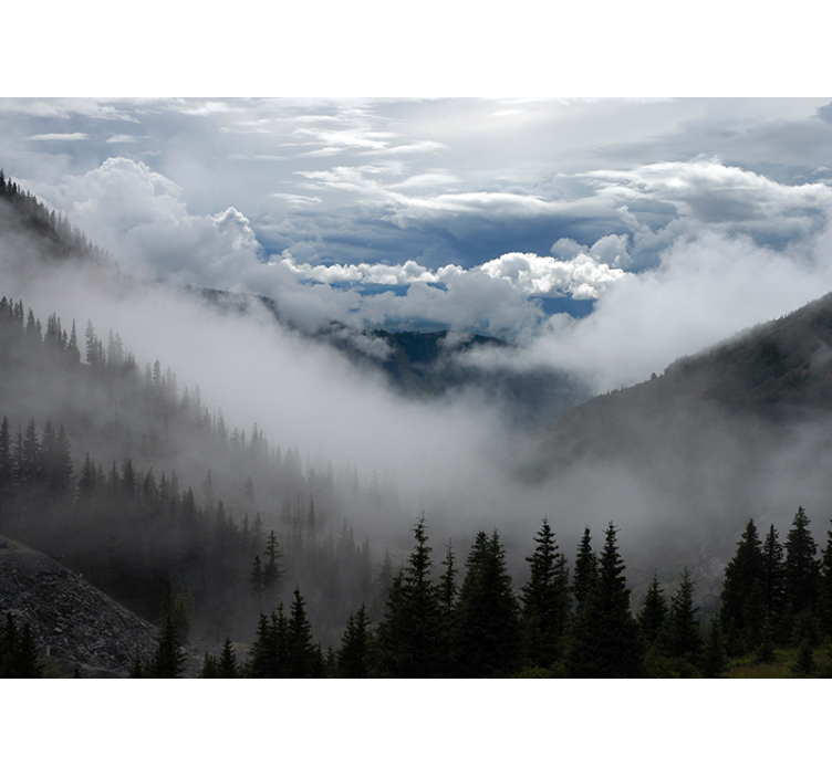 krajinka fototapety hmlistá lesná scenéria - Tenstickers