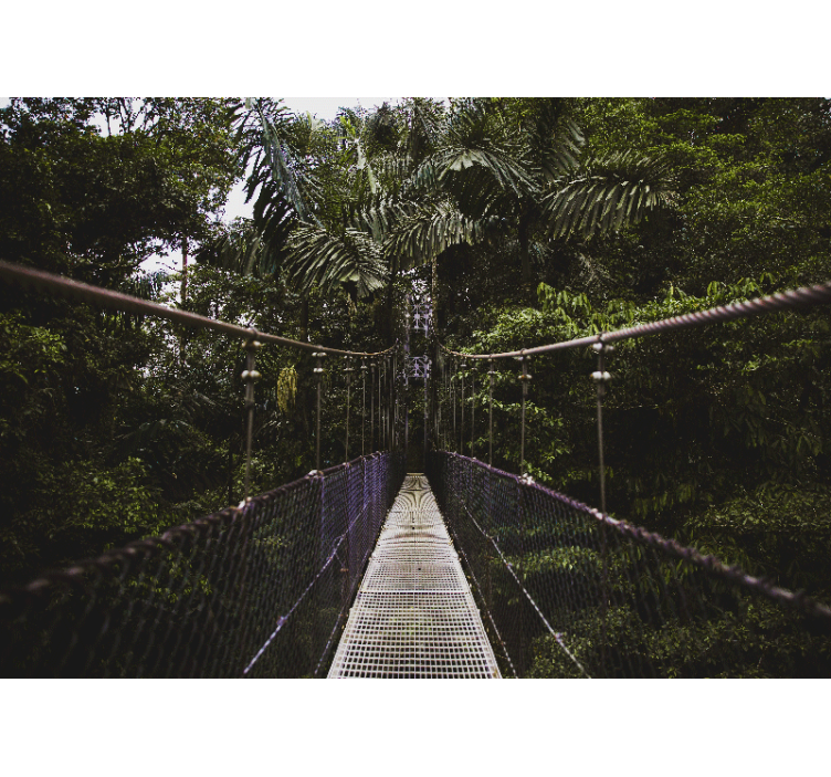 fototapety na stenu priroda dobrodružstvo na visutom moste - Tenstickers