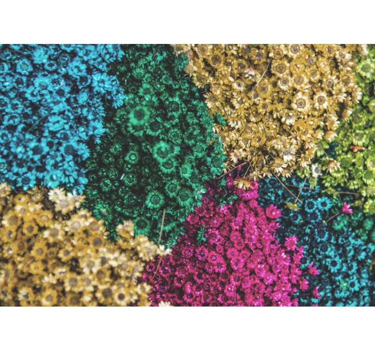 Fototapeta kvety farebné kvetinové vzory - Tenstickers