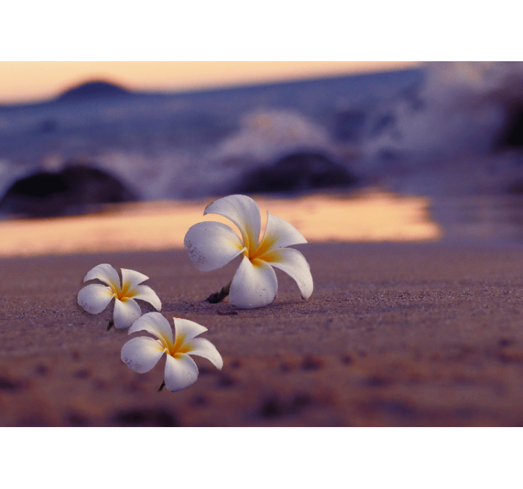 Fototapeta mak tropické kvetinové trio - Tenstickers