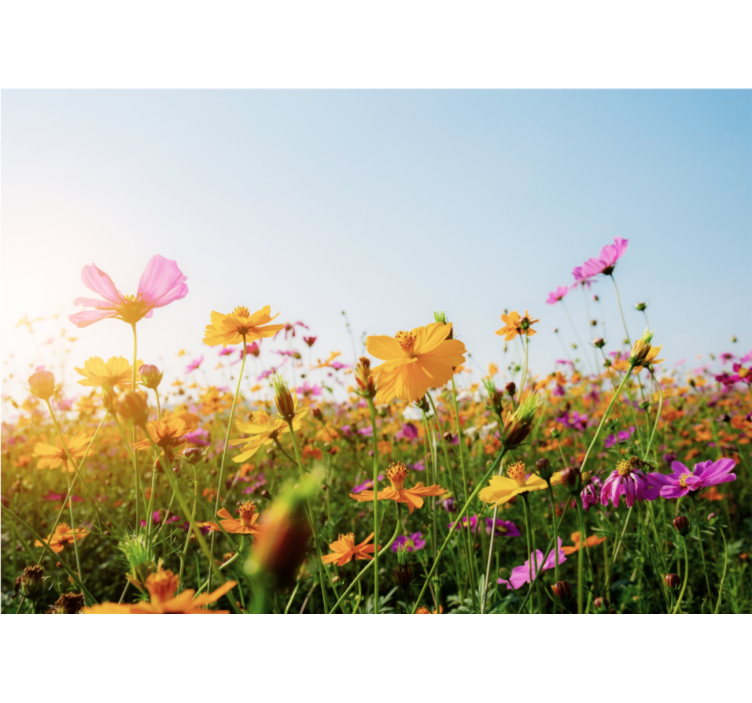 Mix druhov kvetín fototapeta - Tenstickers