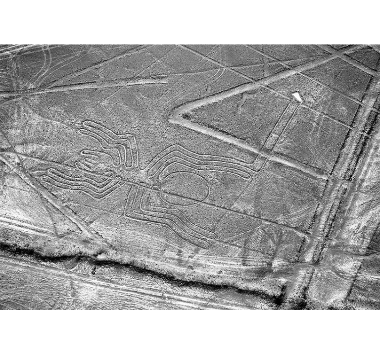 Fototapety so zvieratami nazca pavúk geoglyf - Tenstickers