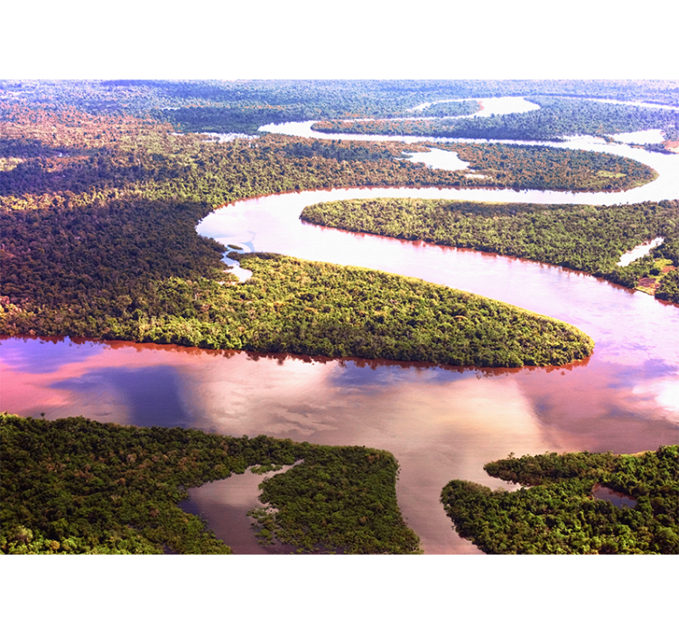 Fototapeta rieka amazonka - Tenstickers