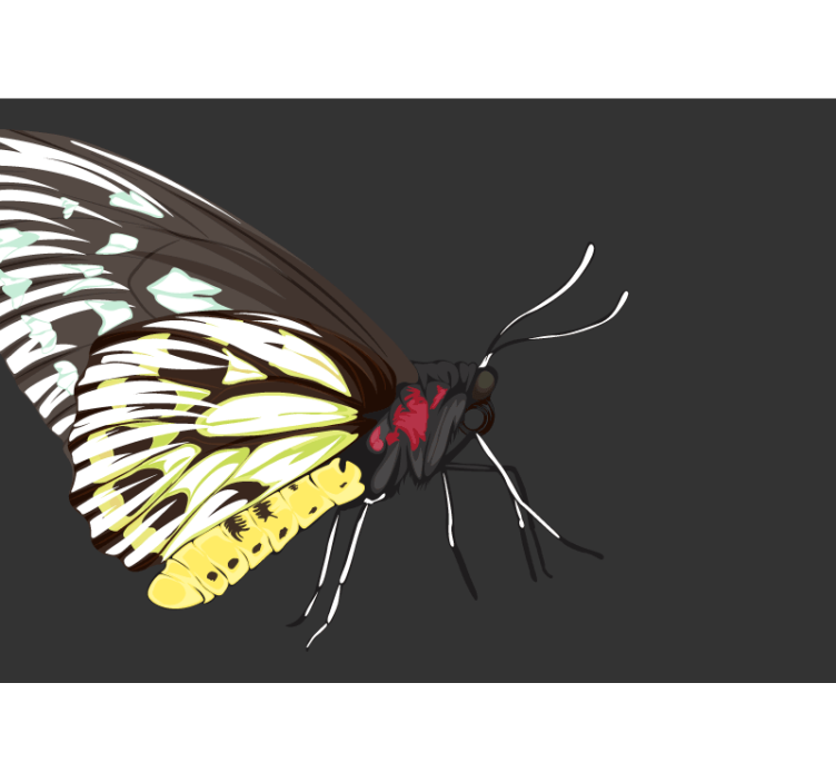 rôzne fototapety dizajn žltého motýľa - Tenstickers