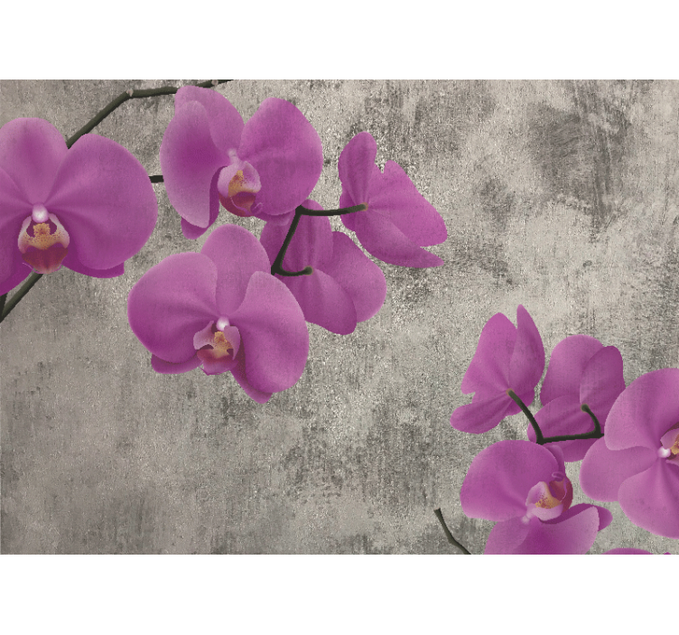 Fototapeta kvety ružové orchideové kvety - Tenstickers